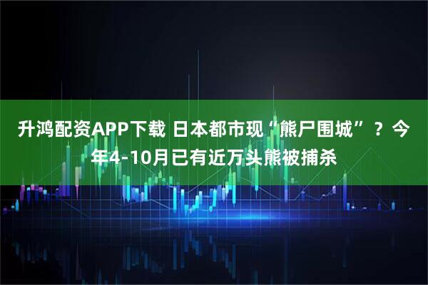 升鸿配资APP下载 日本都市现“熊尸围城” ？今年4-10月已有近万头熊被捕杀
