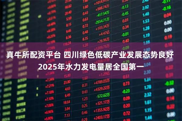 真牛所配资平台 四川绿色低碳产业发展态势良好 2025年水力发电量居全国第一