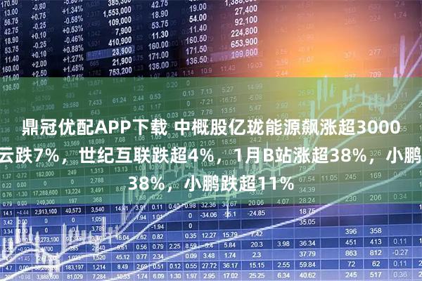 鼎冠优配APP下载 中概股亿珑能源飙涨超3000%，金山云跌7%，世纪互联跌超4%，1月B站涨超38%，小鹏跌超11%