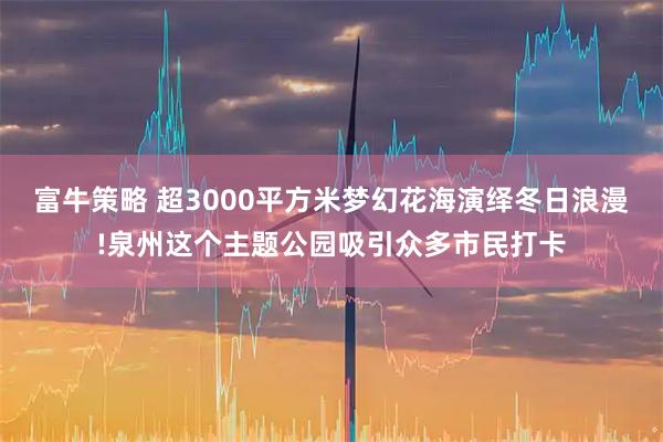 富牛策略 超3000平方米梦幻花海演绎冬日浪漫!泉州这个主题公园吸引众多市民打卡